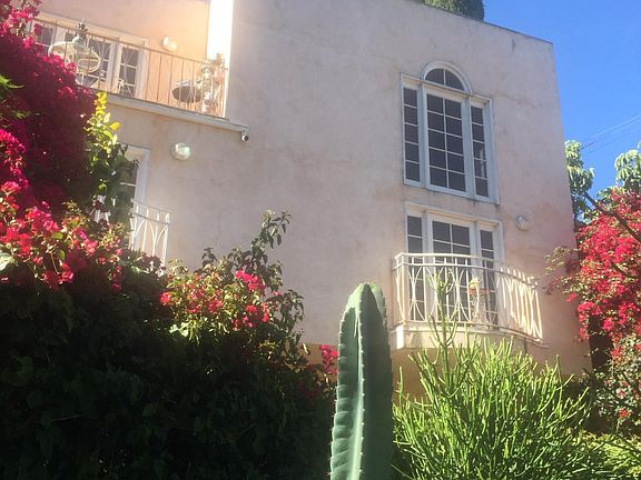 Parkway cactus garden on Dickens Street