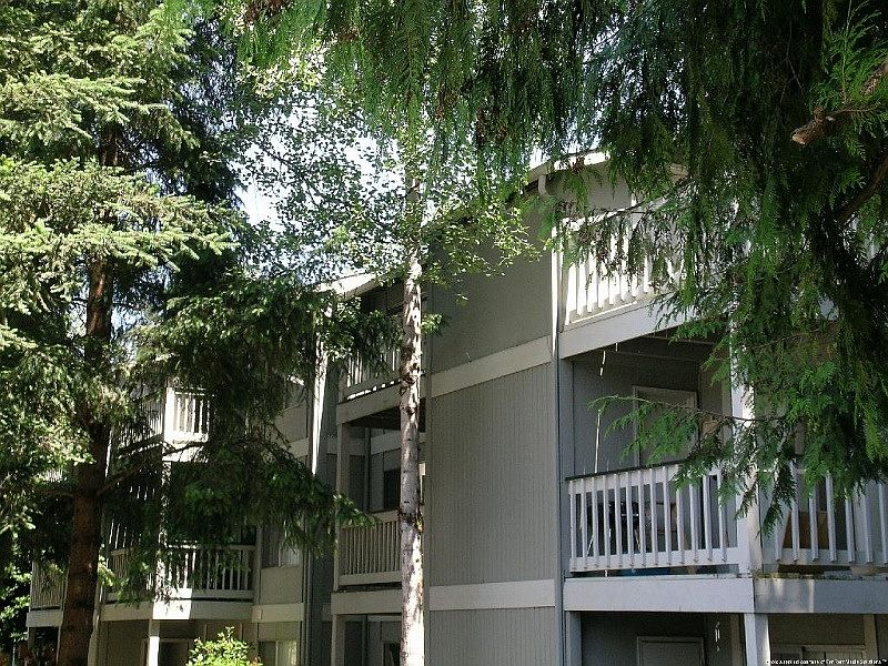 2nd image of 2920 Ruddell Rd SE APT 5