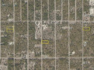 LOT 23 0 SE 134th Ct, Dunnellon, FL 34431