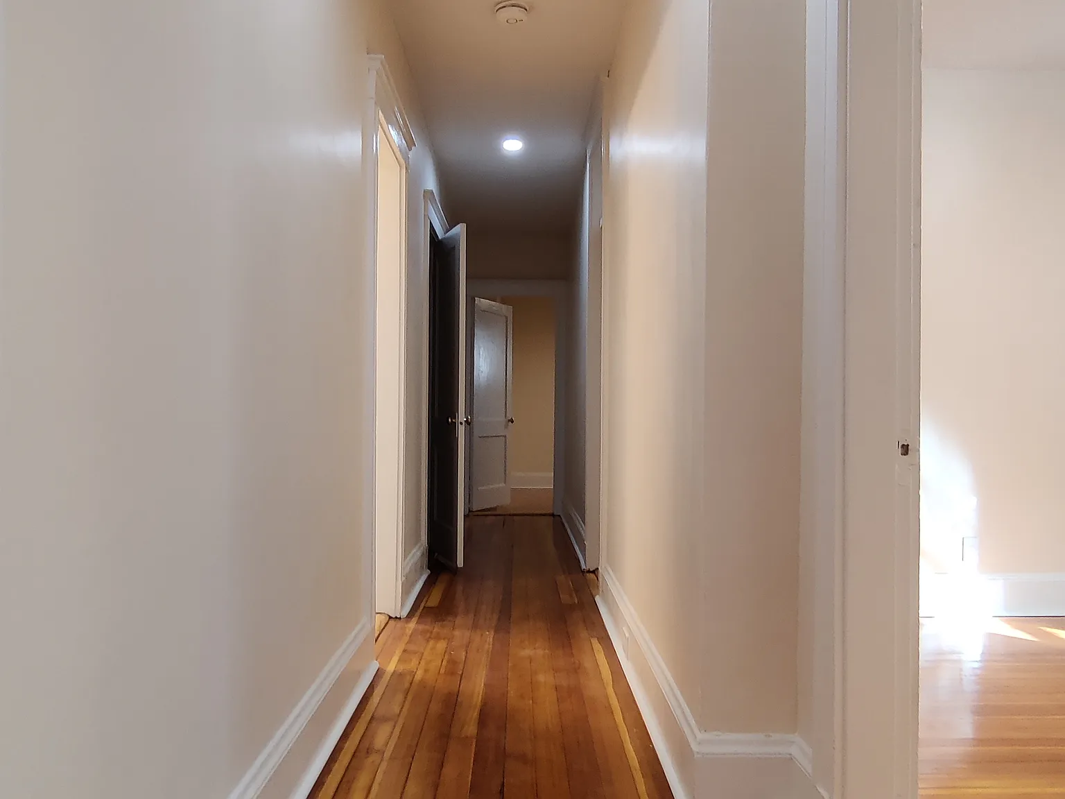 3 bed, 1000 sqft, $3,900 — Photo 2