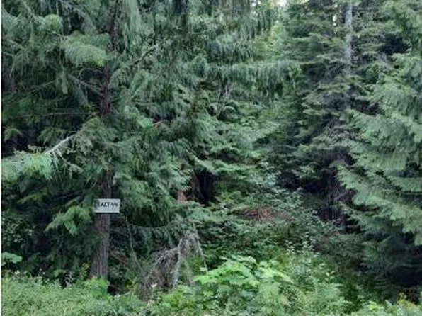 317 E Ridge Rd, Saint Maries, ID 83861