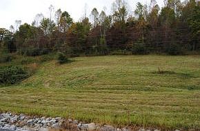 2nd image of 310 Hollow Rd