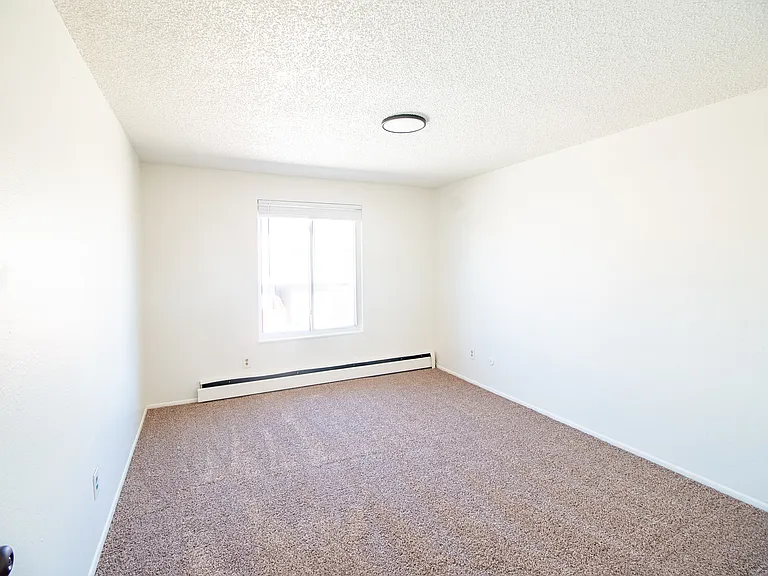 18 Ash Ct — Photo 36