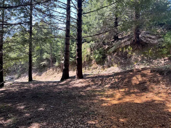 960 Blueridge Rd, Whitethorn, CA 95589