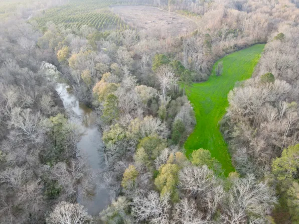 0 Dallas County Rd #324, Minter, AL 36761