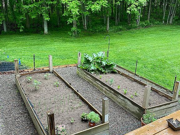 Raised garden beds