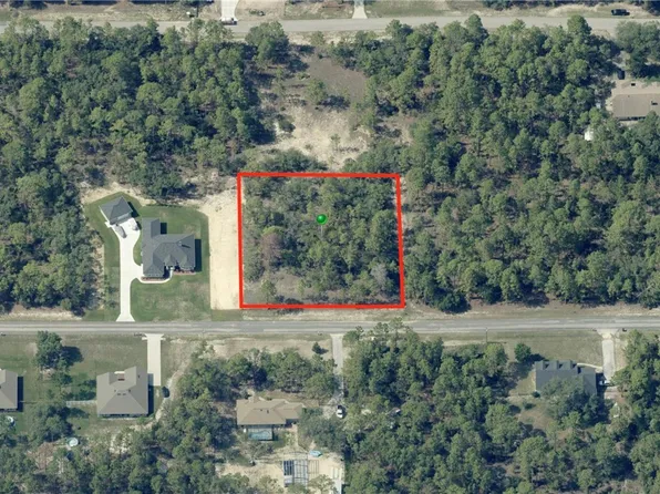 6162 W Conestoga St, Beverly Hills, FL 34465