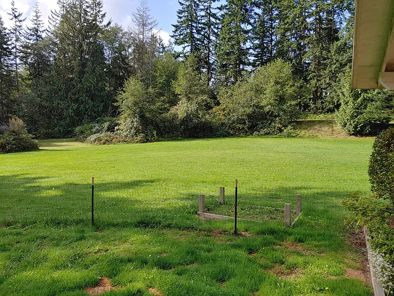 925 Classic Rd — Photo 26