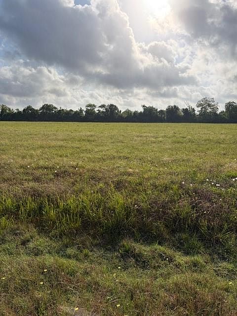 1st image of 0 Brahman Trl