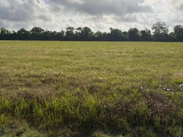 000 Brahman Trail, Angleton, TX 77515