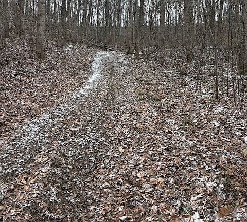 4th image of 0 Wolf Run Rd