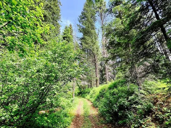 26 Gibson Trl, Cascade, ID 83611