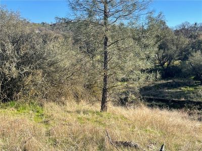 LOT 741 Long Hollow Dr #741, Coarsegold, CA, 93614