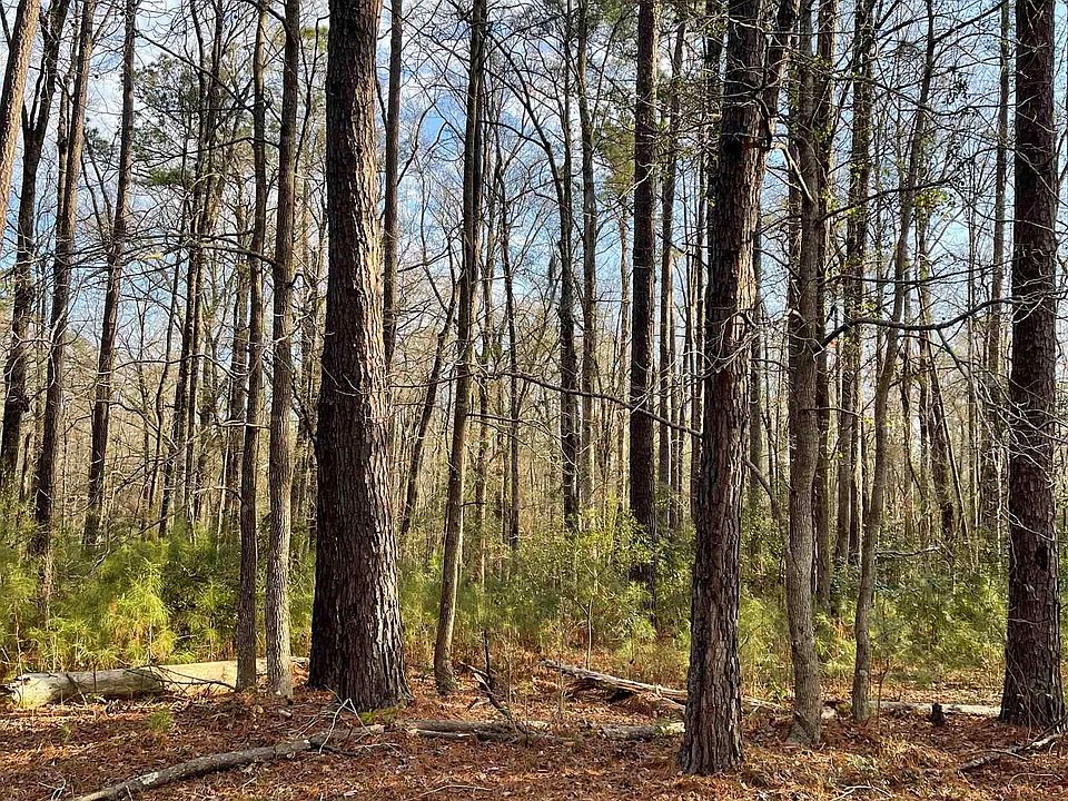 2nd image of  Maplewood Circle