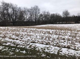 909 E Webb Dr, Dewitt, MI 48820