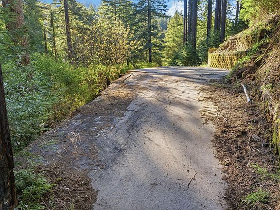 5th image of 315 Alder Rd