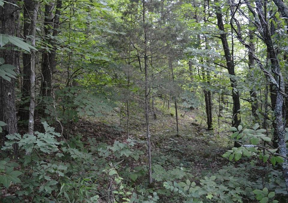 2nd image of Tbd Rosh Rd