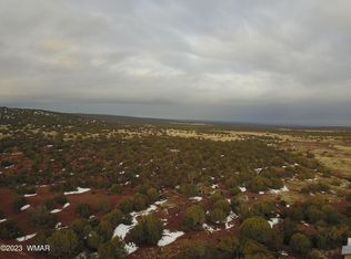 Landis And Maloney Ave, Concho, AZ 85924