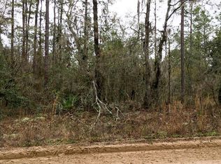 198 NE Blackjack Loop, Lee, FL 32059