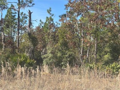 0 NE 106th Ct Lot 3, Archer, FL, 32618