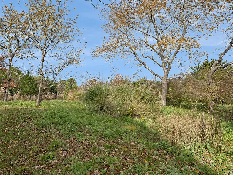 McGregor Dr — Photo 26