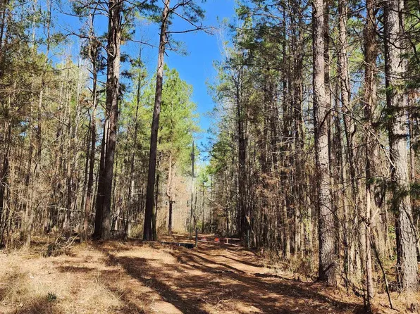 1736 Highway 190 E, Grapevine, AR 72057