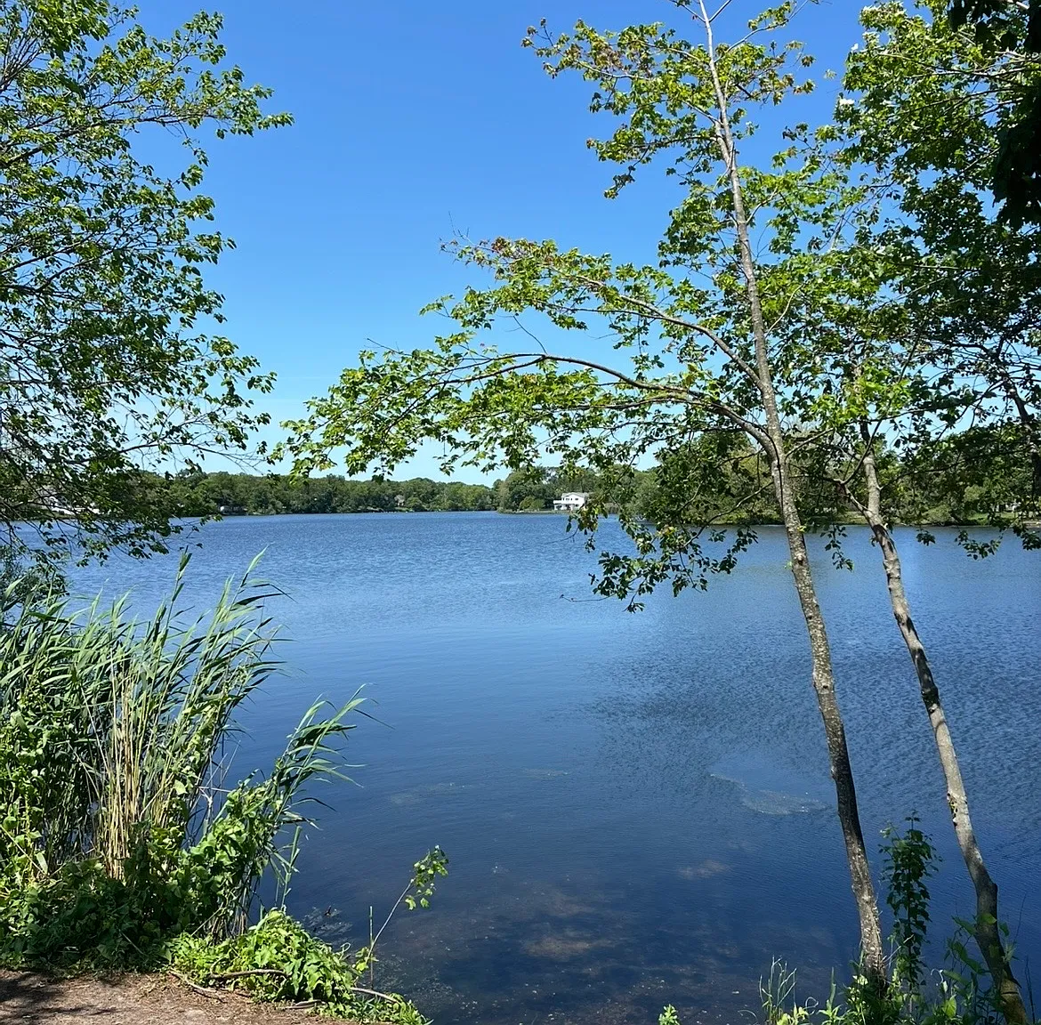 4 bed, 2050 sqft, $4,600 — Photo 4