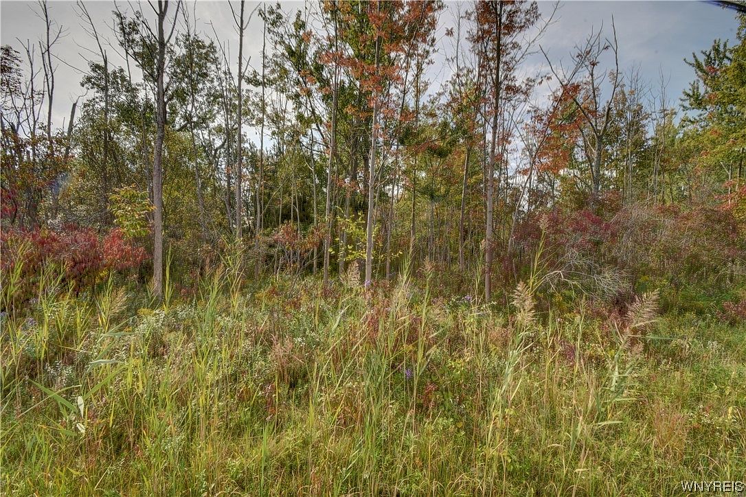 660 Schwartz Rd, Lancaster, NY 14086 Zillow