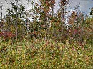 660 Schwartz Rd, Lancaster, NY 14086