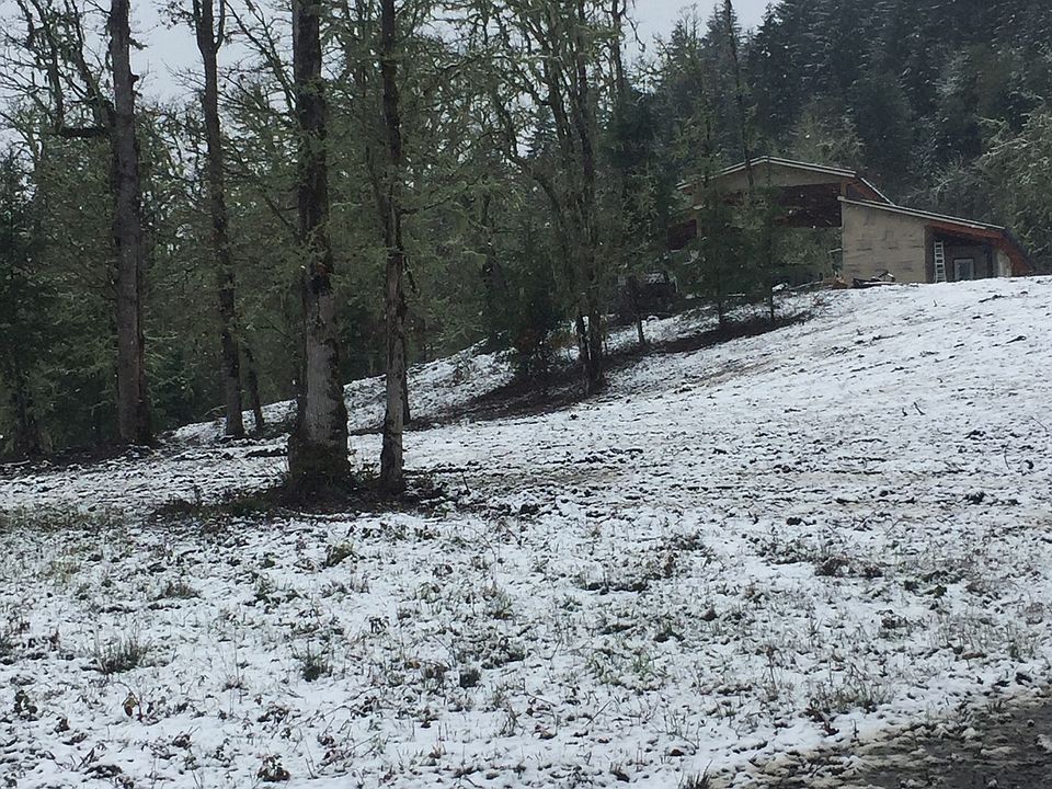 Looking toward barn