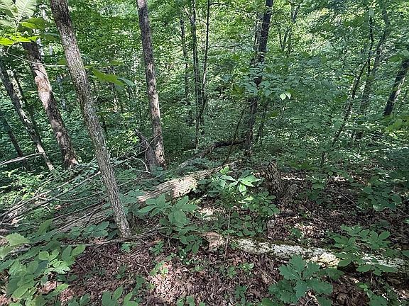 5th image of 3030 Bull Ridge Rd #2