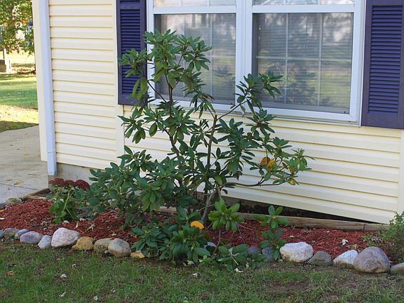 4th image of 2359 Marral Dr