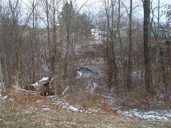 4th image of 201 Crystal Falls Ln