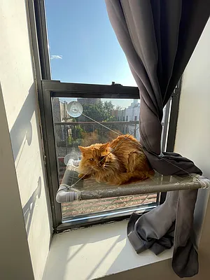 Rented by Delmark Realty LLC | media 17