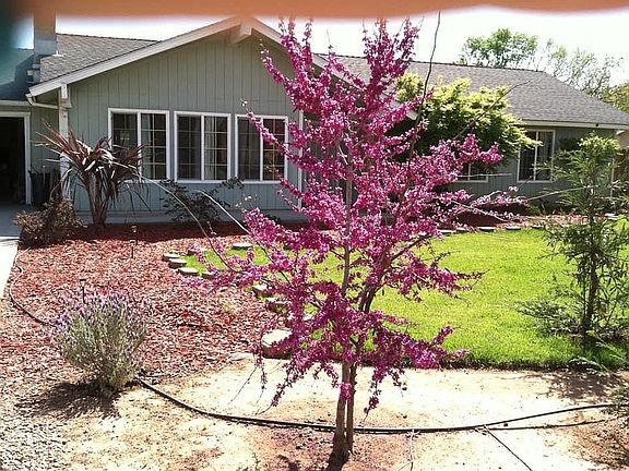 5th image of 36814 Berkshire Dr