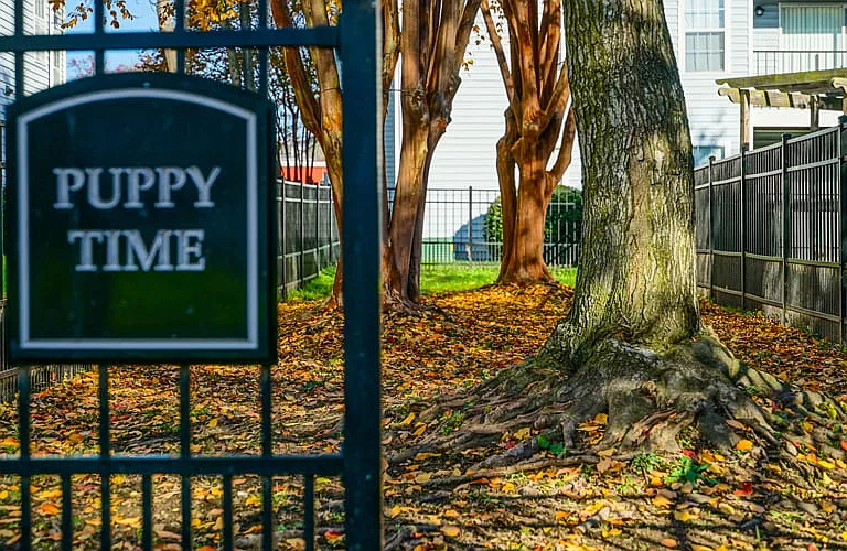 Our Bark Park is leash-free