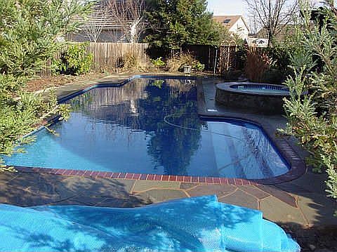 50 foot custom lap pool and spa.