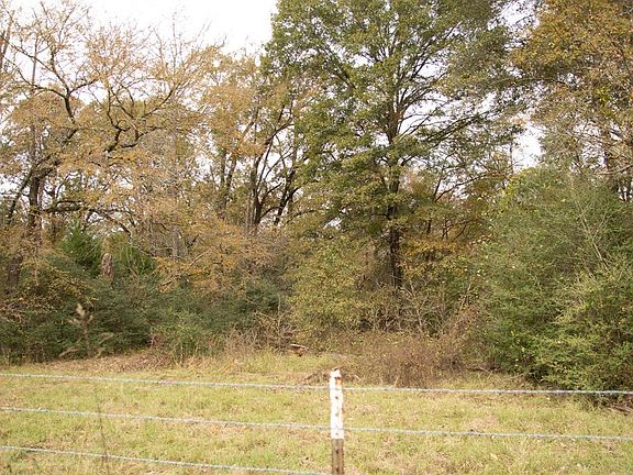 5th image of 675 County Road 141 Tract 10
