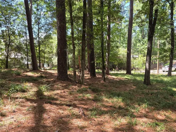 Forest Hills Dr Lot 53, Livingston, TX 77351