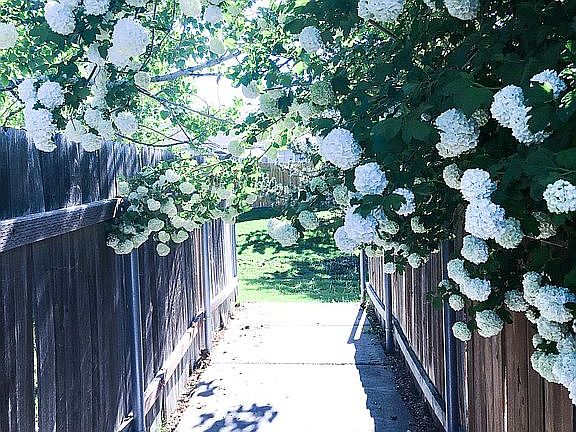 Pathway to common area
