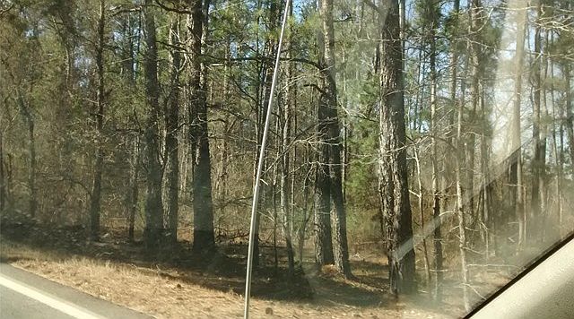 2nd image of 17213 Highway 11 N