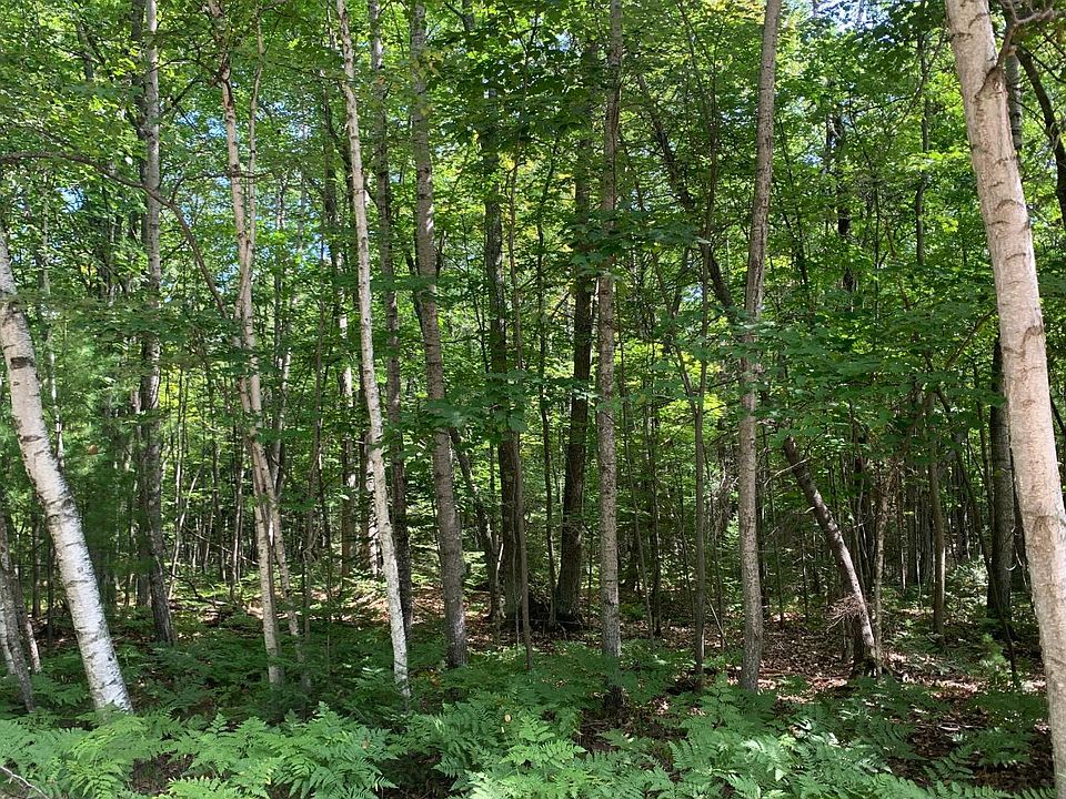 2nd image of LOT 2 Ace Ln