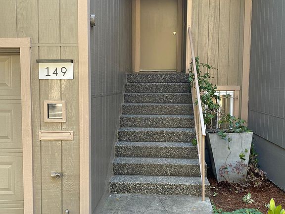 Front garden and walkway