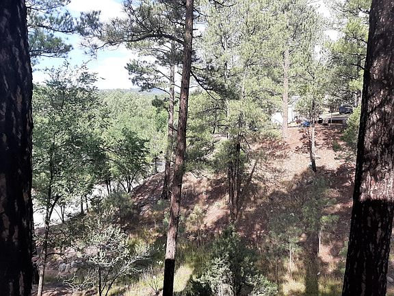 The view out the backdoor. Sometimes you will see deer, wild horses and even elk passing through.