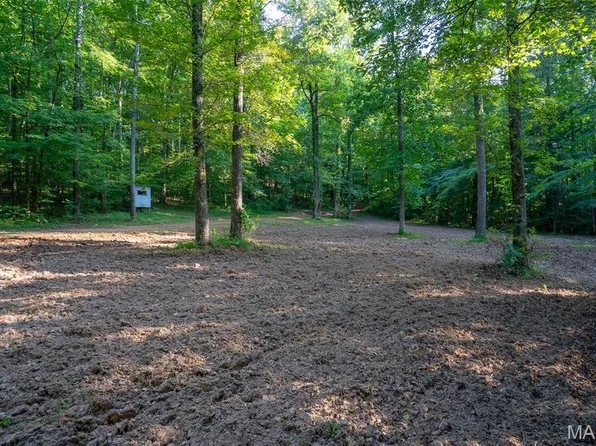 0 County Road 530 #3, Williamsville, MO 63967