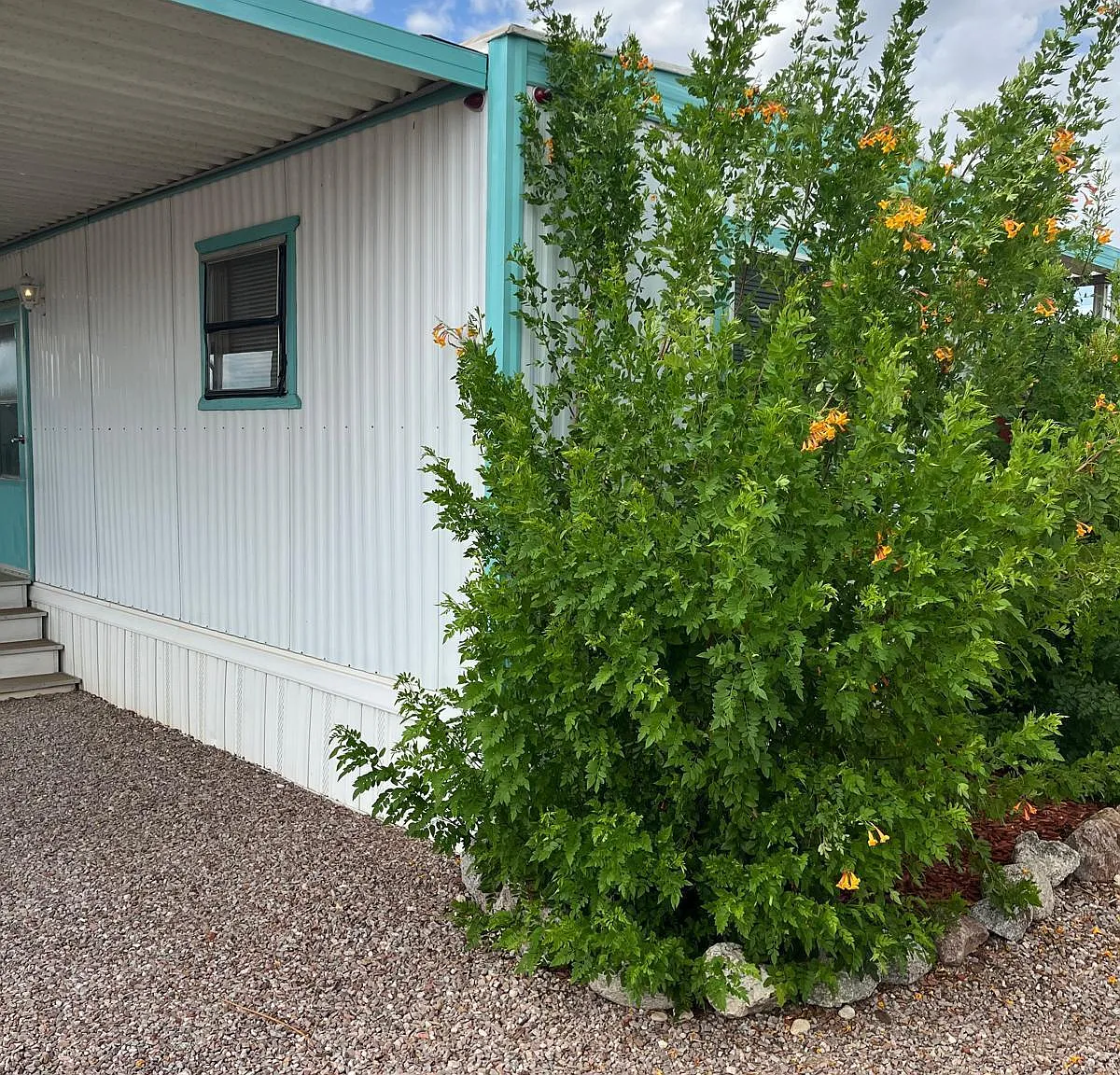 1 bed, 1.0 bath, 6752 sqft, $850 — Photo 3