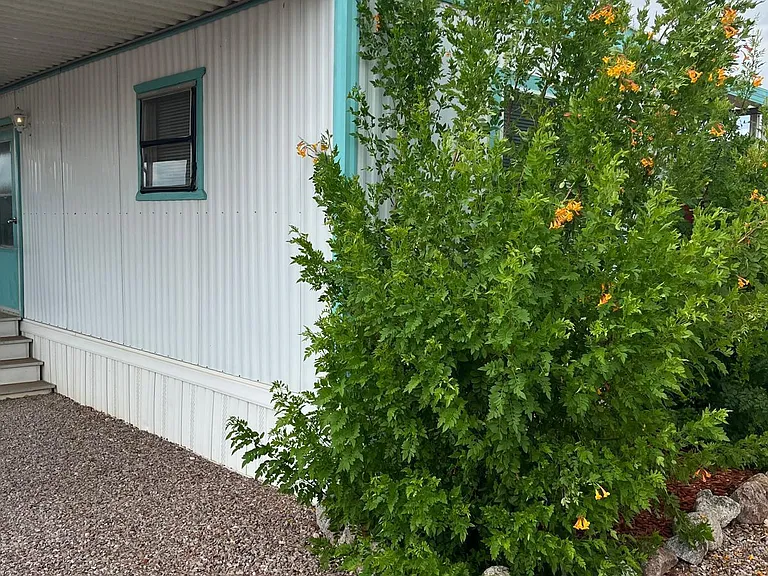 2602 E Walnut St #4 — Photo 3