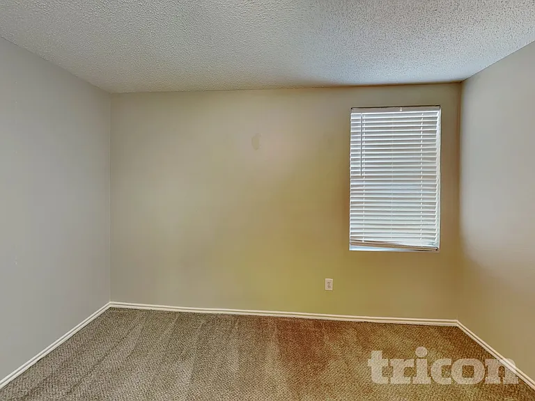 2904 Crimson Clover Dr — Photo 10