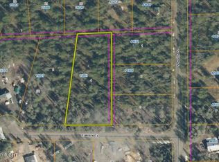 15863 E Willow Cir, Talkeetna, AK 99676