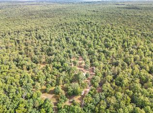 40 Acres Vl, Shelby, MI 49455